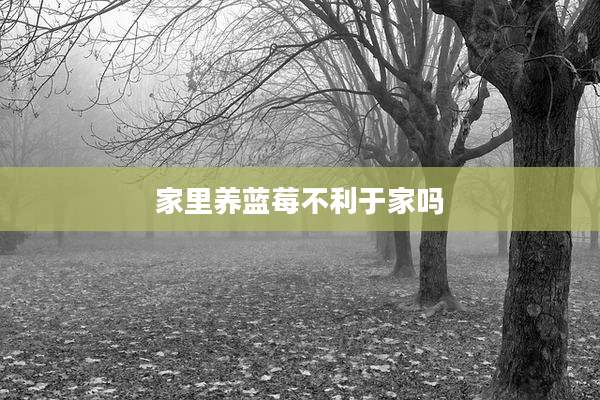家里养蓝莓不利于家吗