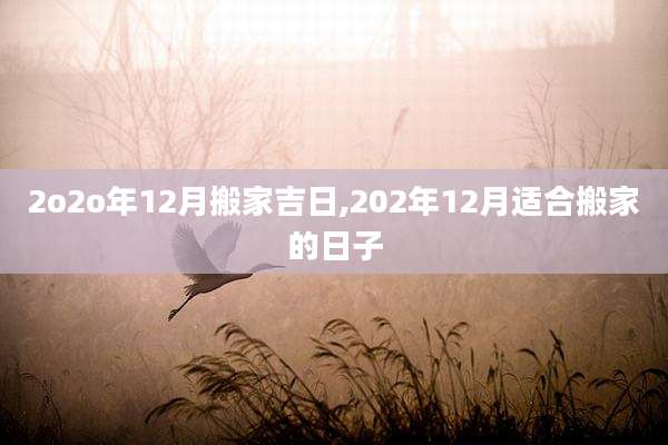 2o2o年12月搬家吉日,202年12月适合搬家的日子