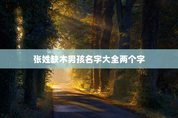 张姓缺木男孩名字大全两个字
