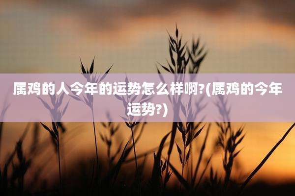 属鸡的人今年的运势怎么样啊?(属鸡的今年运势?)