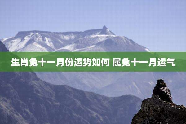 生肖兔十一月份运势如何 属兔十一月运气