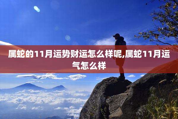 属蛇的11月运势财运怎么样呢,属蛇11月运气怎么样