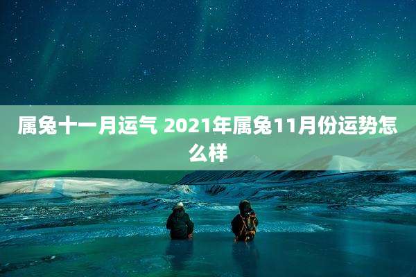 属兔十一月运气 2021年属兔11月份运势怎么样