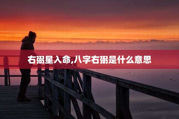右弼星入命,八字右弼是什么意思