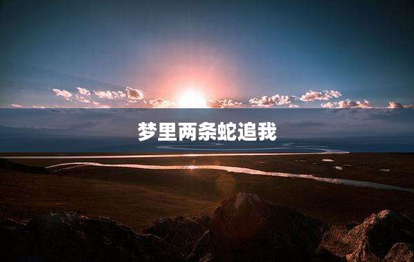 梦里两条蛇追我