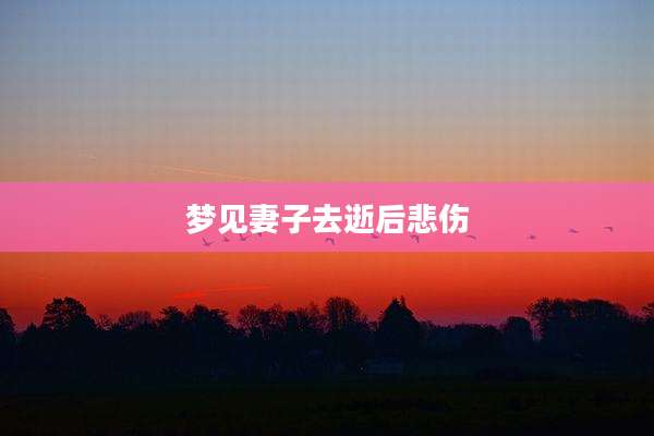 梦见妻子去逝后悲伤