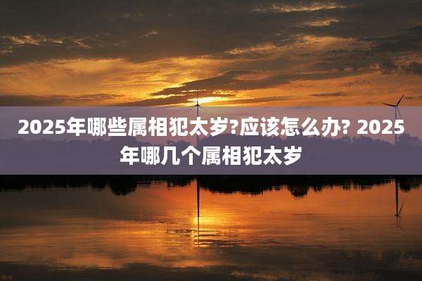 2025年哪些属相犯太岁?应该怎么办? 2025年哪几个属相犯太岁