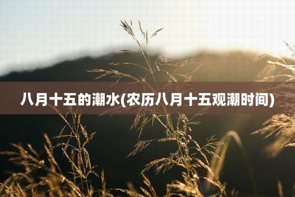 八月十五的潮水(农历八月十五观潮时间)