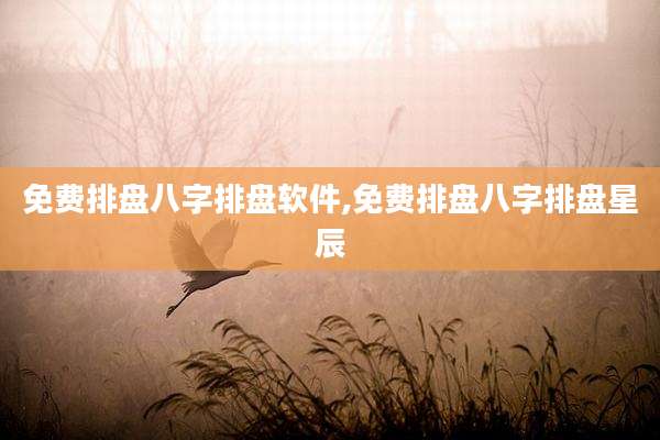免费排盘八字排盘软件,免费排盘八字排盘星辰