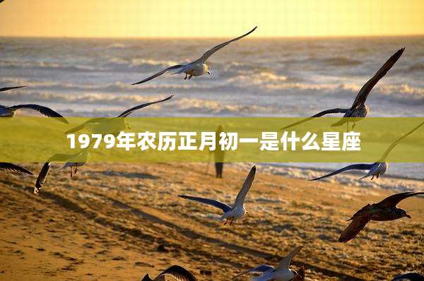 1979年农历正月初一是什么星座