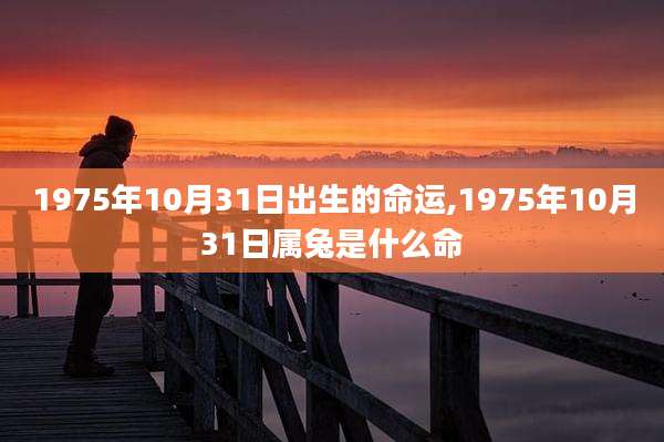 1975年10月31日出生的命运,1975年10月31日属兔是什么命