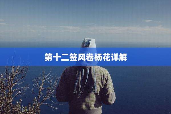 第十二签风卷杨花详解