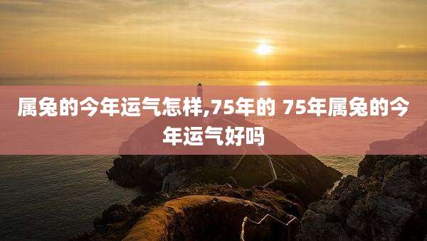 属兔的今年运气怎样,75年的 75年属兔的今年运气好吗