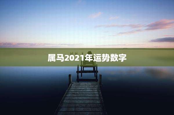 属马2021年运势数字