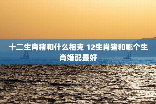 十二生肖猪和什么相克 12生肖猪和哪个生肖婚配最好