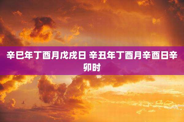 辛巳年丁酉月戊戌日 辛丑年丁酉月辛酉日辛卯时