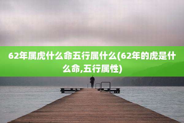 62年属虎什么命五行属什么(62年的虎是什么命,五行属性)