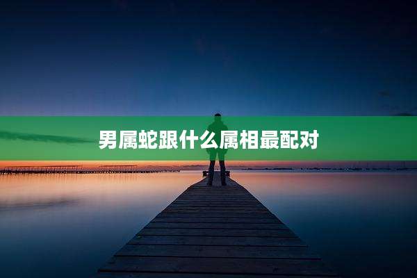 男属蛇跟什么属相最配对