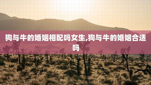 狗与牛的婚姻相配吗女生,狗与牛的婚姻合适吗