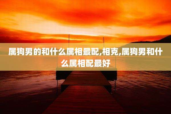 属狗男的和什么属相最配,相克,属狗男和什么属相配最好