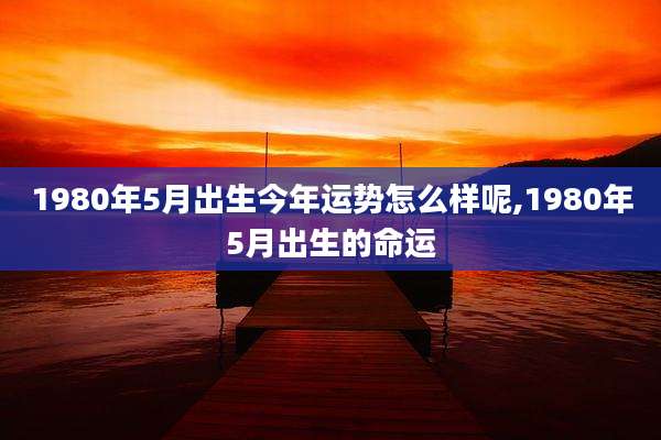 1980年5月出生今年运势怎么样呢,1980年5月出生的命运