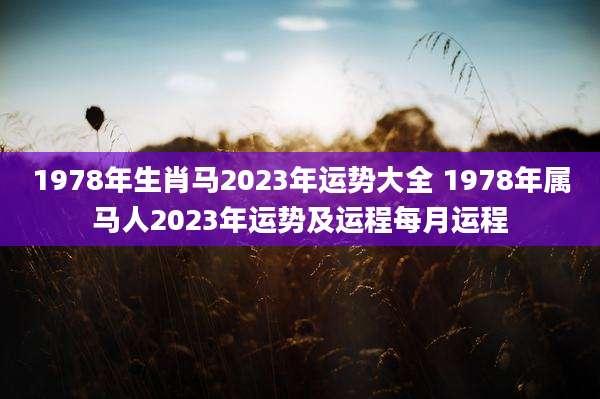 1978年生肖马2023年运势大全 1978年属马人2023年运势及运程每月运程
