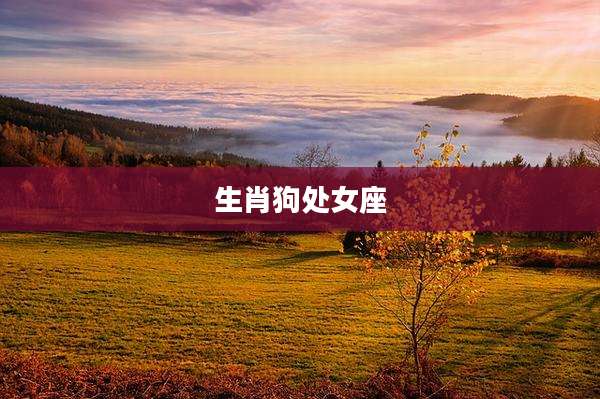 生肖狗处女座