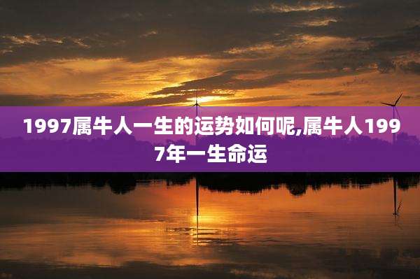 1997属牛人一生的运势如何呢,属牛人1997年一生命运