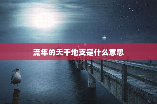 流年的天干地支是什么意思