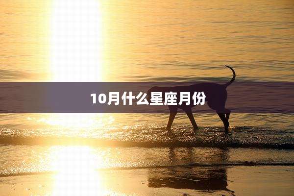 10月什么星座月份