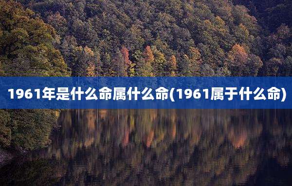 1961年是什么命属什么命(1961属于什么命)