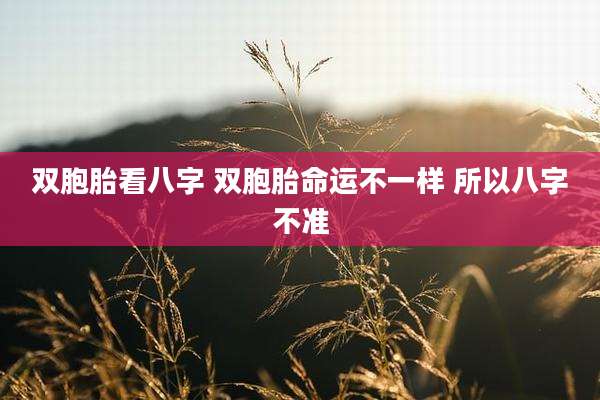 双胞胎看八字 双胞胎命运不一样 所以八字不准
