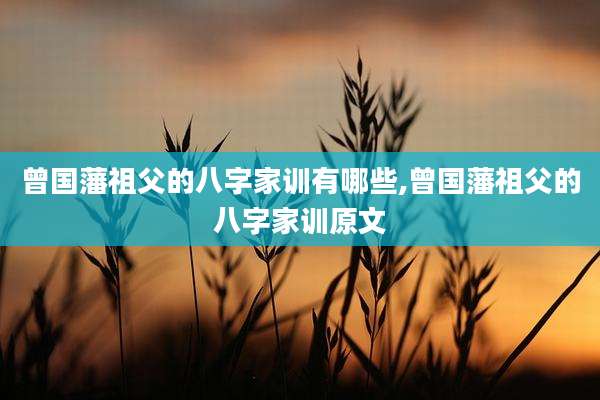 曾国藩祖父的八字家训有哪些,曾国藩祖父的八字家训原文