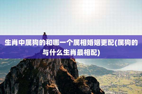 生肖中属狗的和哪一个属相婚姻更配(属狗的与什么生肖最相配)