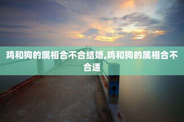 鸡和狗的属相合不合结婚,鸡和狗的属相合不合适