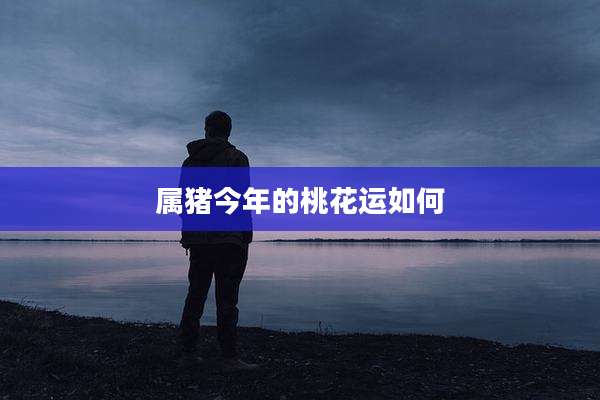 属猪今年的桃花运如何