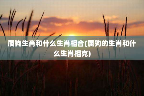属狗生肖和什么生肖相合(属狗的生肖和什么生肖相克)