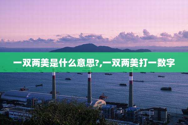 一双两美是什么意思?,一双两美打一数字