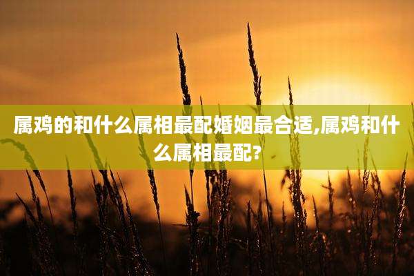 属鸡的和什么属相最配婚姻最合适,属鸡和什么属相最配?