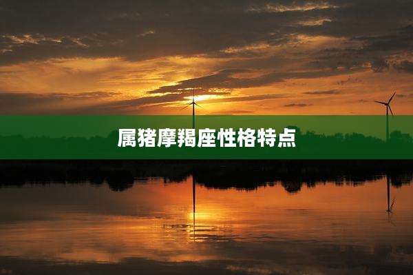属猪摩羯座性格特点