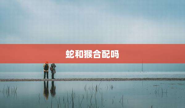 蛇和猴合配吗
