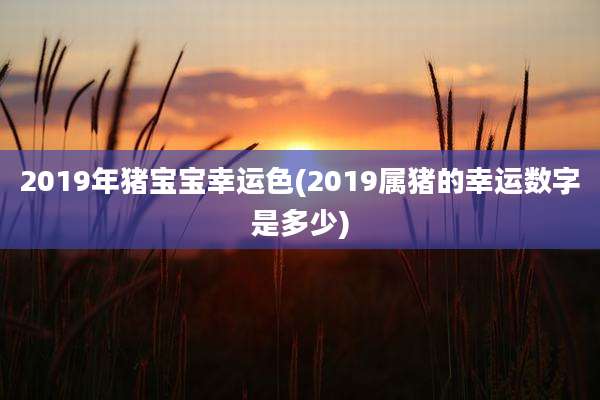 2019年猪宝宝幸运色(2019属猪的幸运数字是多少)