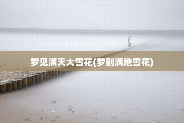 梦见满天大雪花(梦到满地雪花)