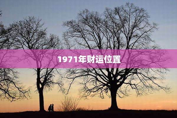 1971年财运位置