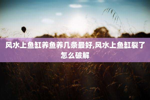 风水上鱼缸养鱼养几条最好,风水上鱼缸裂了怎么破解