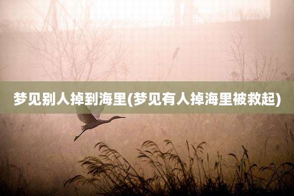 梦见别人掉到海里(梦见有人掉海里被救起)