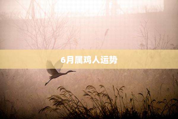 6月属鸡人运势