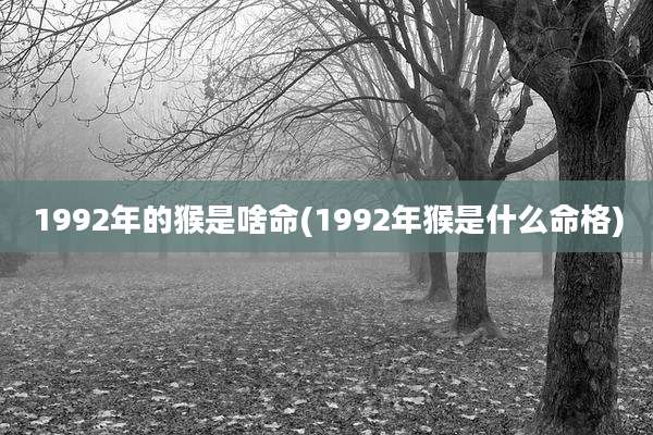 1992年的猴是啥命(1992年猴是什么命格)