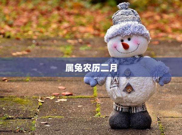 属兔农历二月