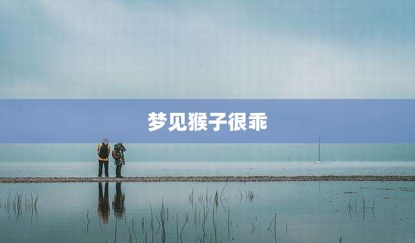 梦见猴子很乖